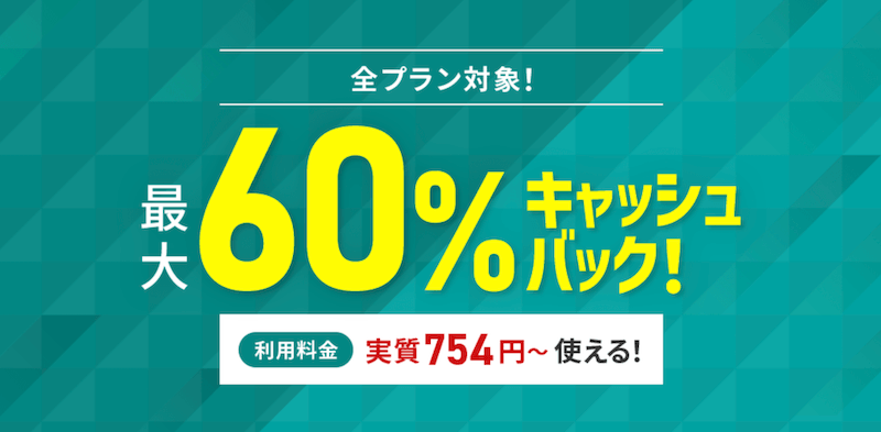月額料金割引orキャッシュバックキャンペーン
